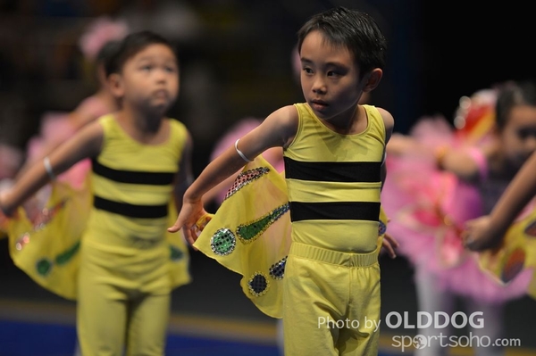 Gymnastics (209)