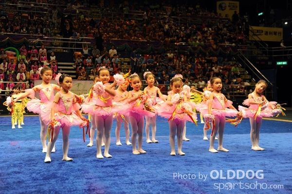 Gymnastics (211)