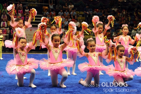 Gymnastics (212)