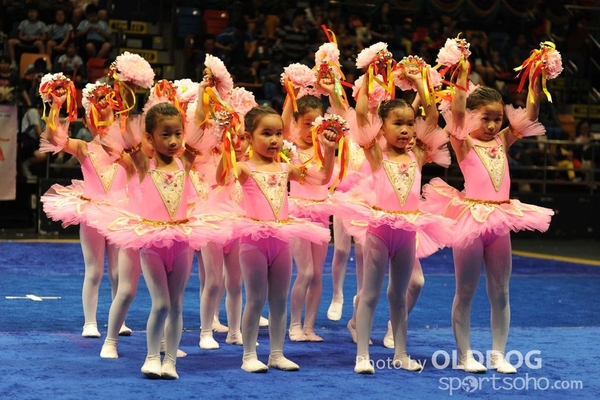 Gymnastics (215)