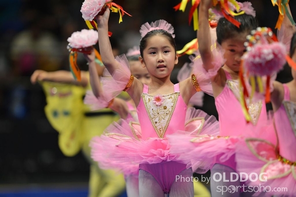 Gymnastics (216)