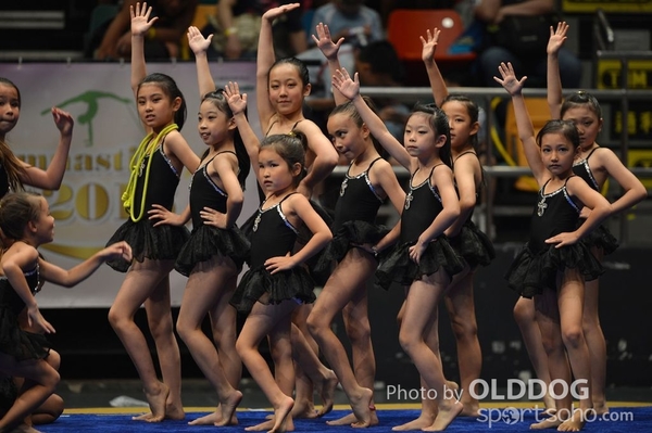 Gymnastics (219)