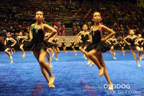 Gymnastics (220)