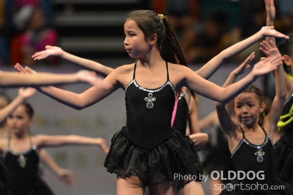 Gymnastics (221)