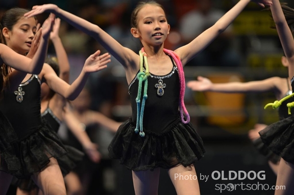 Gymnastics (222)