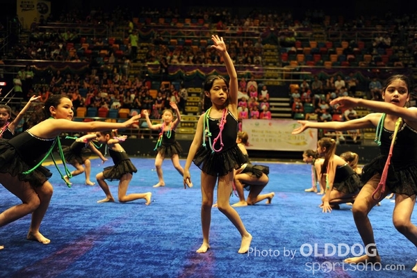 Gymnastics (228)