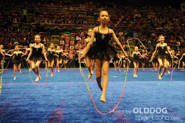 Gymnastics (230)