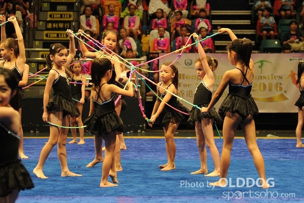 Gymnastics (231)