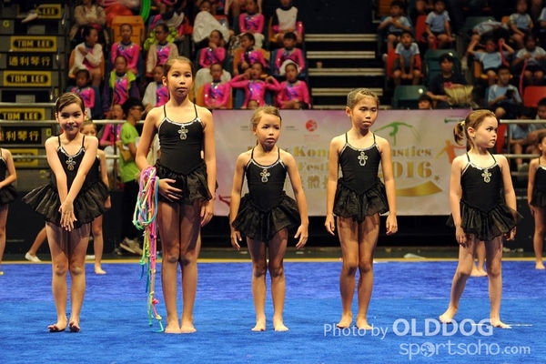 Gymnastics (232)