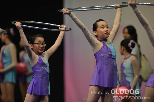Gymnastics (233)