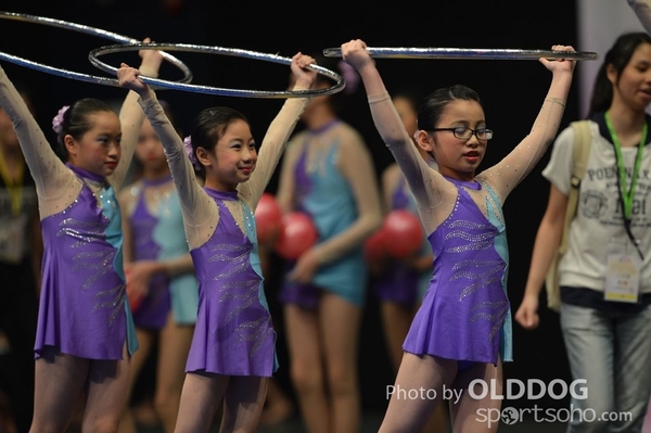 Gymnastics (234)
