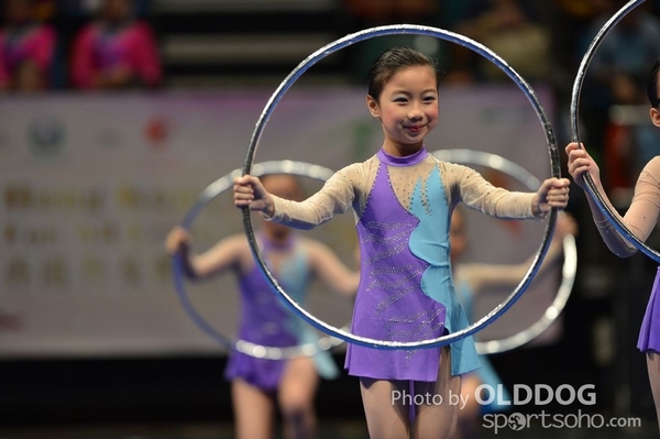 Gymnastics (237)