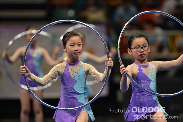 Gymnastics (238)