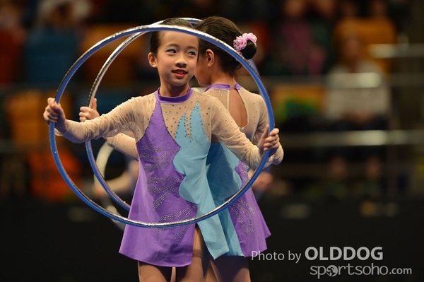 Gymnastics (239)