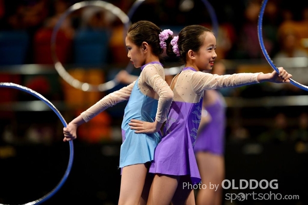 Gymnastics (240)