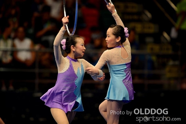 Gymnastics (241)