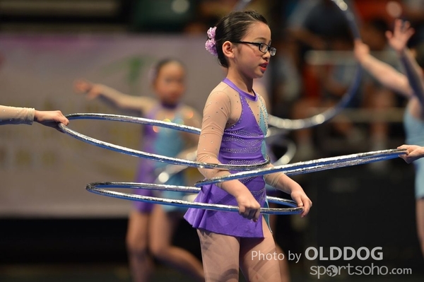 Gymnastics (242)