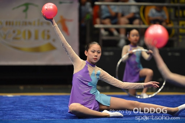 Gymnastics (243)