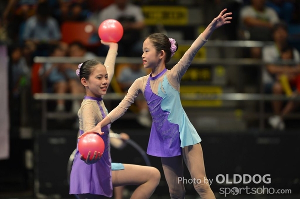 Gymnastics (244)