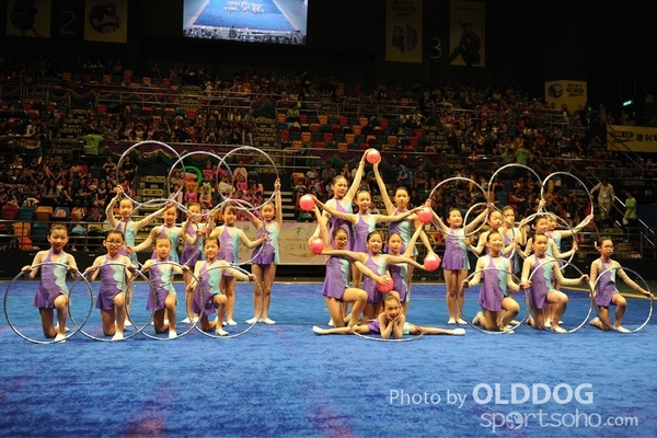 Gymnastics (245)