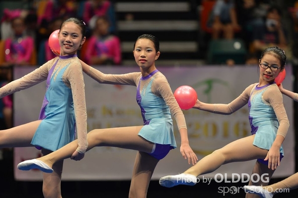 Gymnastics (246)