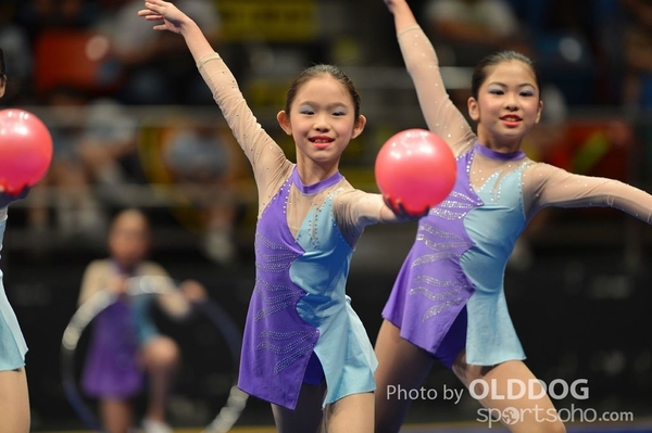 Gymnastics (247)