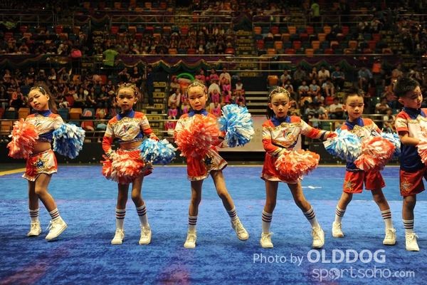 Gymnastics (249)