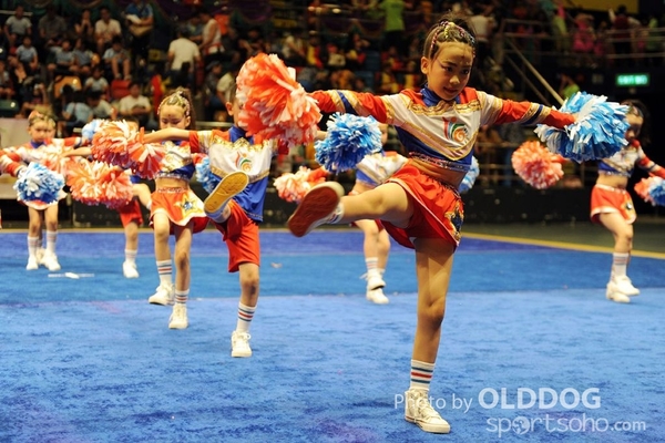 Gymnastics (251)