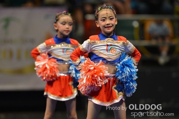 Gymnastics (252)