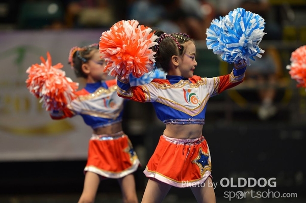 Gymnastics (253)