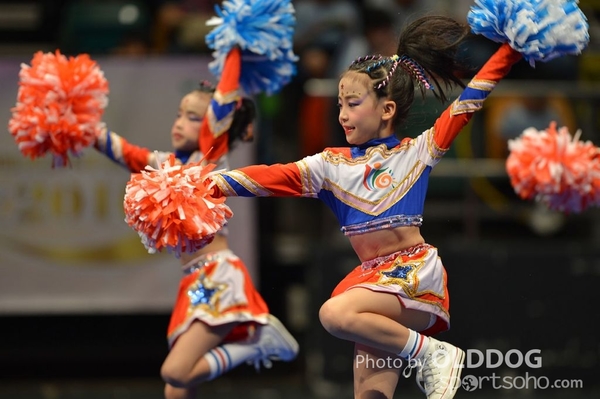 Gymnastics (254)