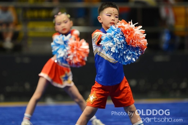 Gymnastics (255)