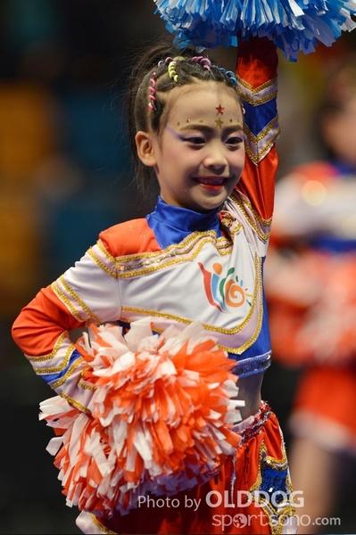 Gymnastics (258)