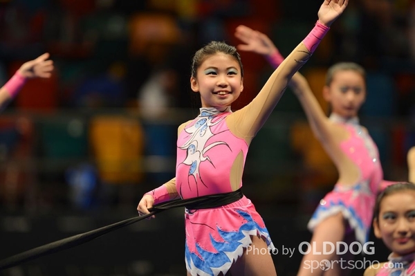 Gymnastics (262)