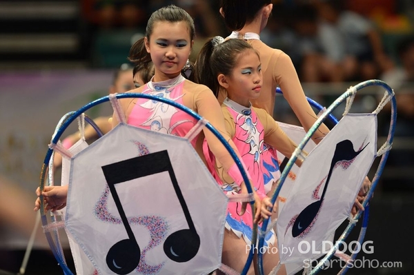 Gymnastics (263)