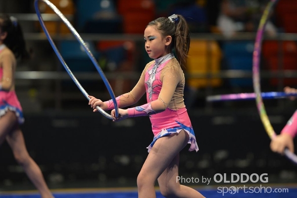 Gymnastics (264)