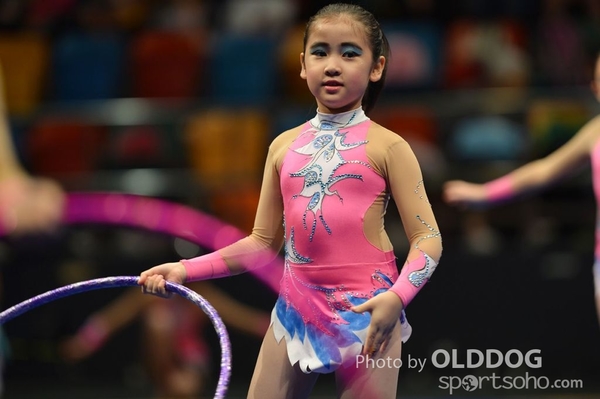 Gymnastics (265)