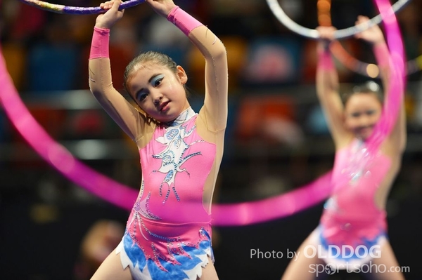 Gymnastics (266)