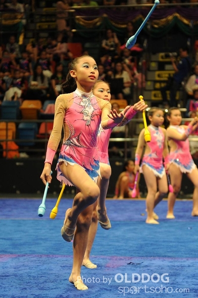 Gymnastics (268)