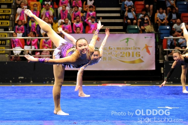 Gymnastics (307)