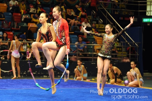 Gymnastics (311)