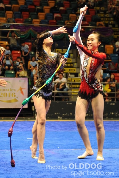 Gymnastics (313)