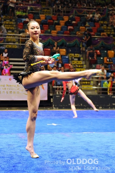 Gymnastics (314)