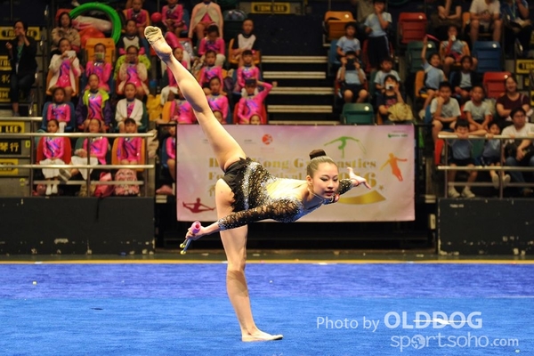 Gymnastics (316)