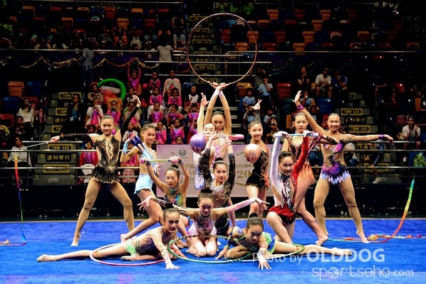 Gymnastics (317)
