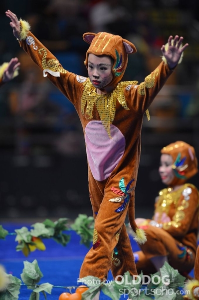 Gymnastics (321)