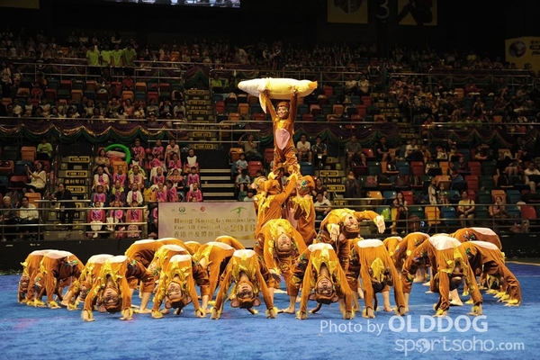 Gymnastics (326)