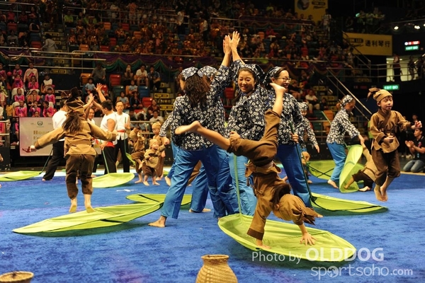 Gymnastics (331)