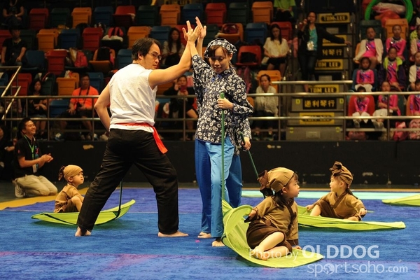 Gymnastics (333)