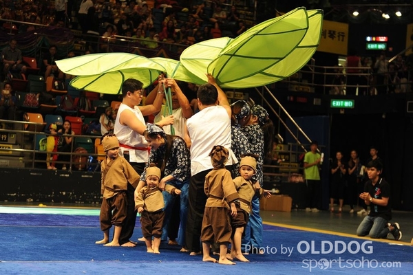 Gymnastics (334)